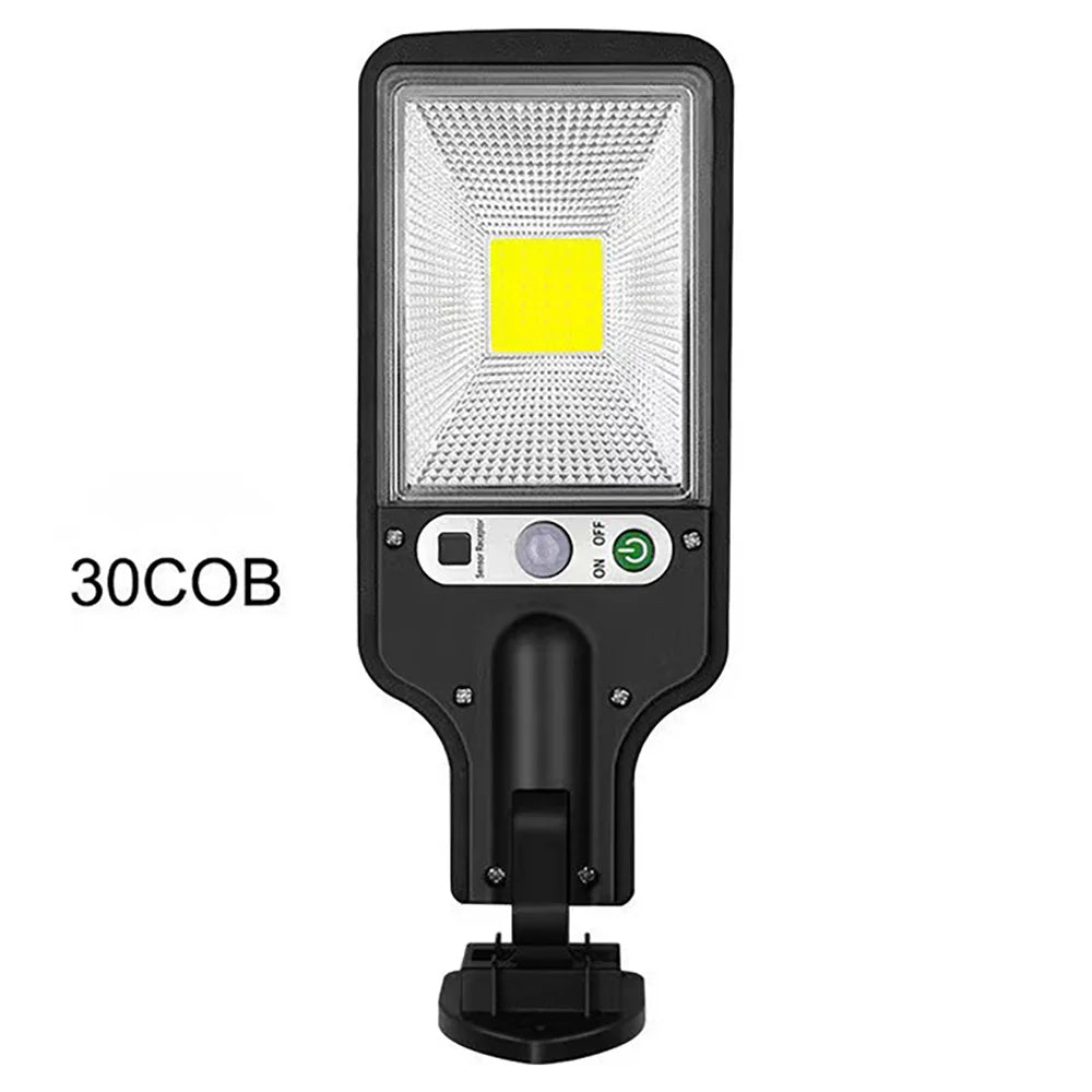 Solar Outdoor LED Wall Light with Human Body